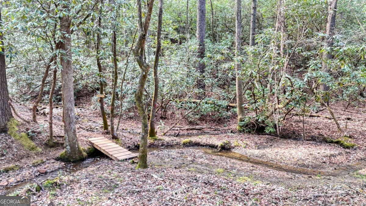 520 Farmer Drive Murphy - Photo 77