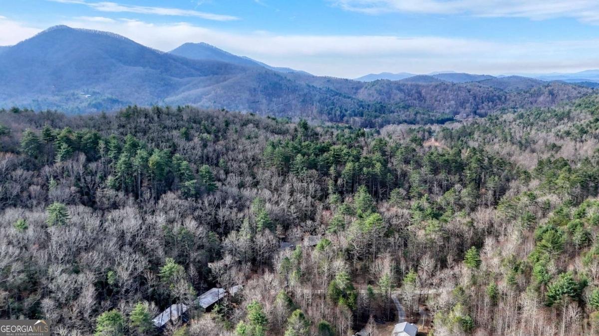 520 Farmer Drive Murphy - Photo 78