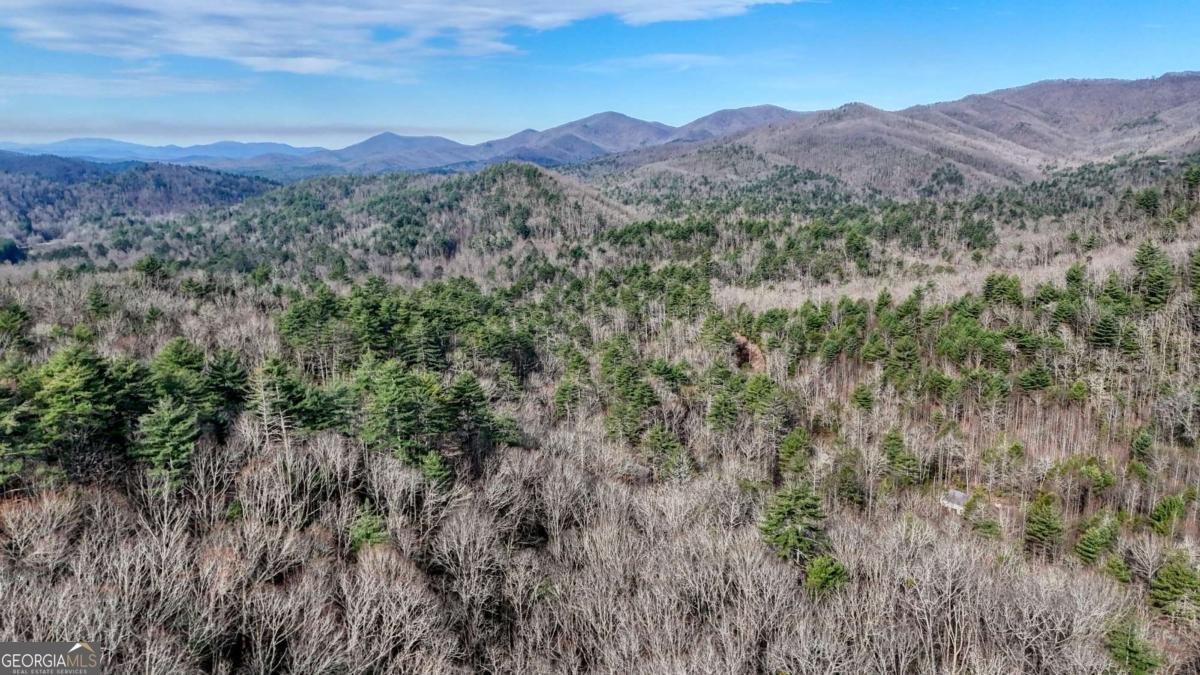 520 Farmer Drive Murphy - Photo 80