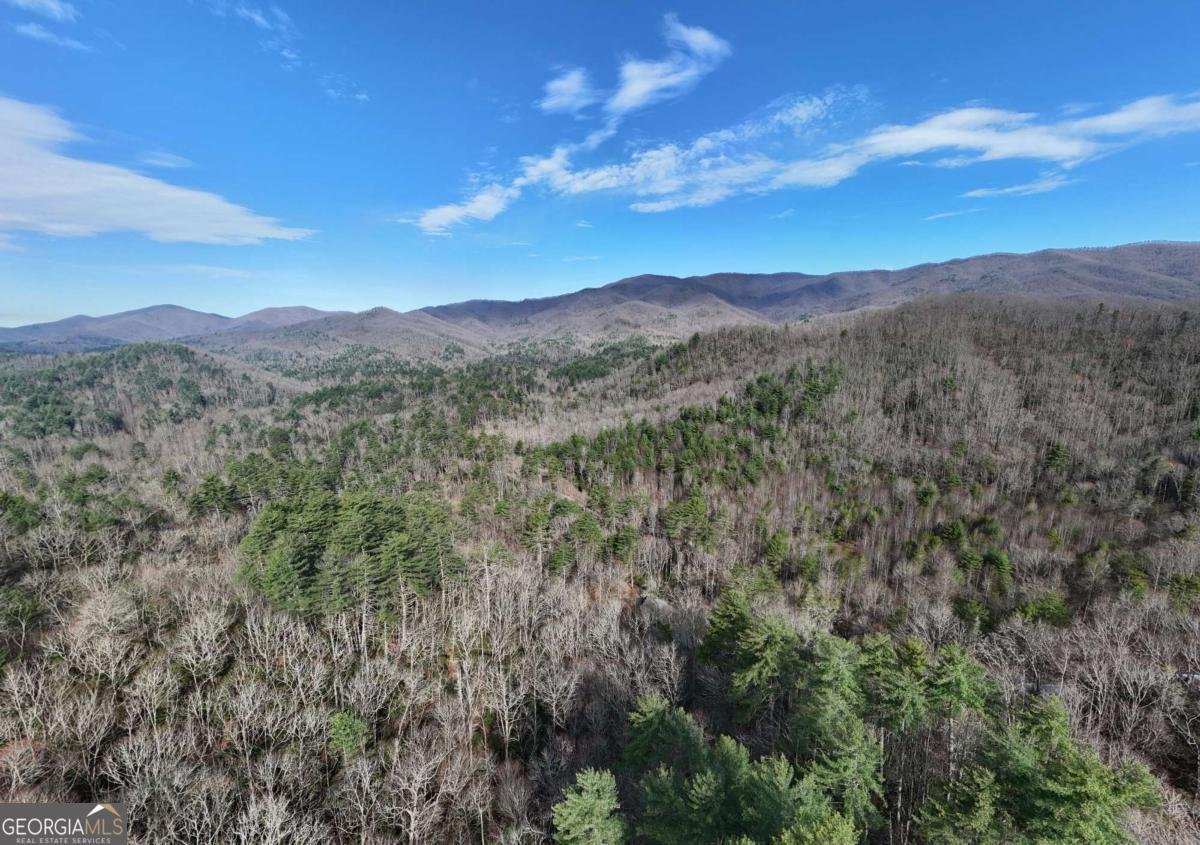 520 Farmer Drive Murphy - Photo 81