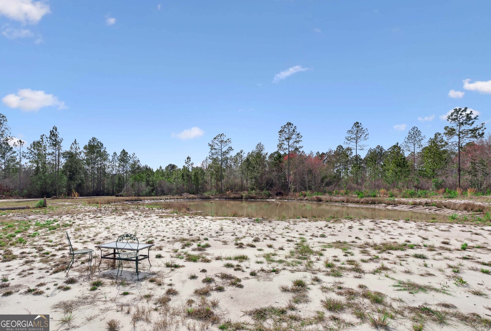 6064 Us Highway 301 Jesup - Photo 19