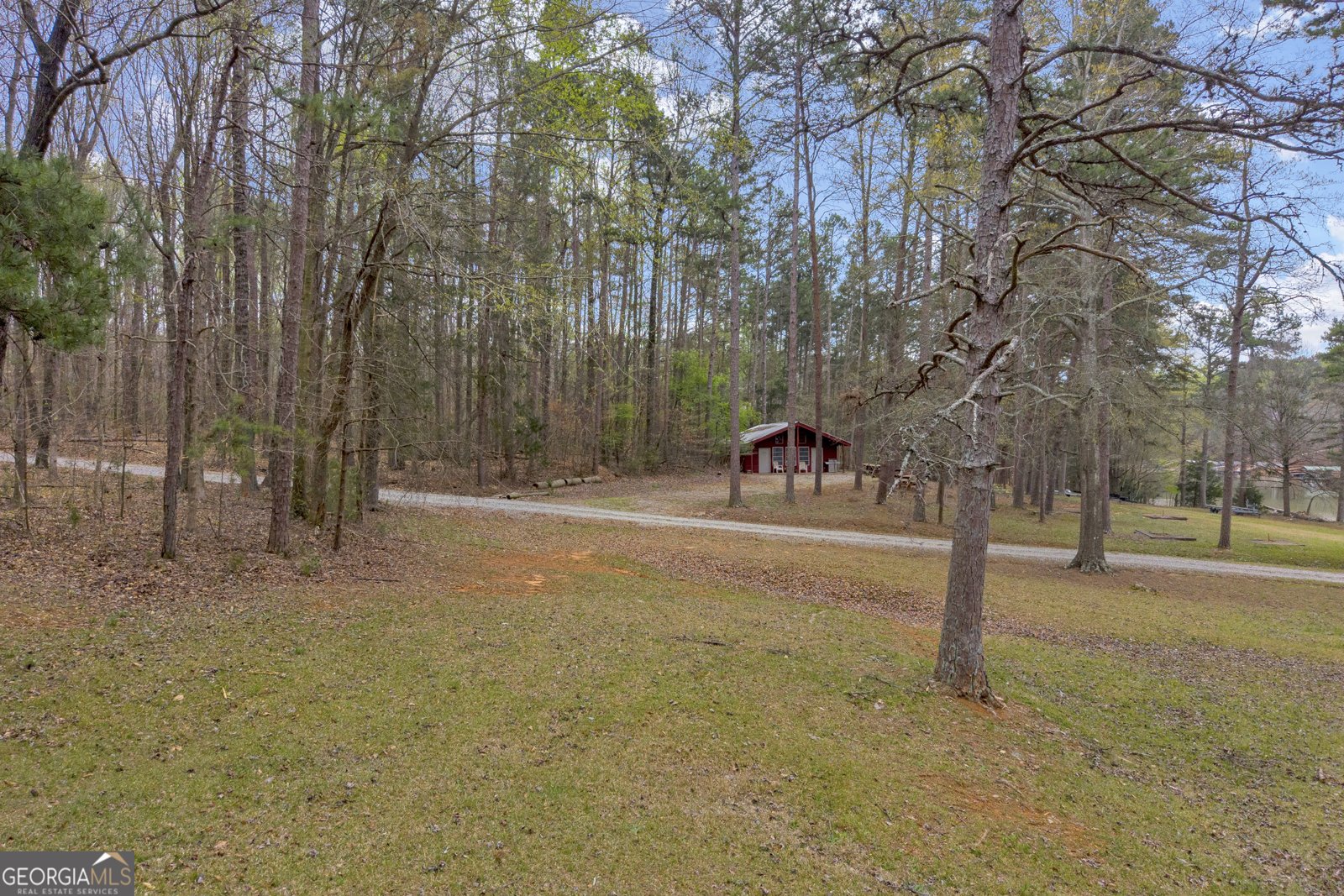 455 Lake View Drive Lavonia - Photo 51