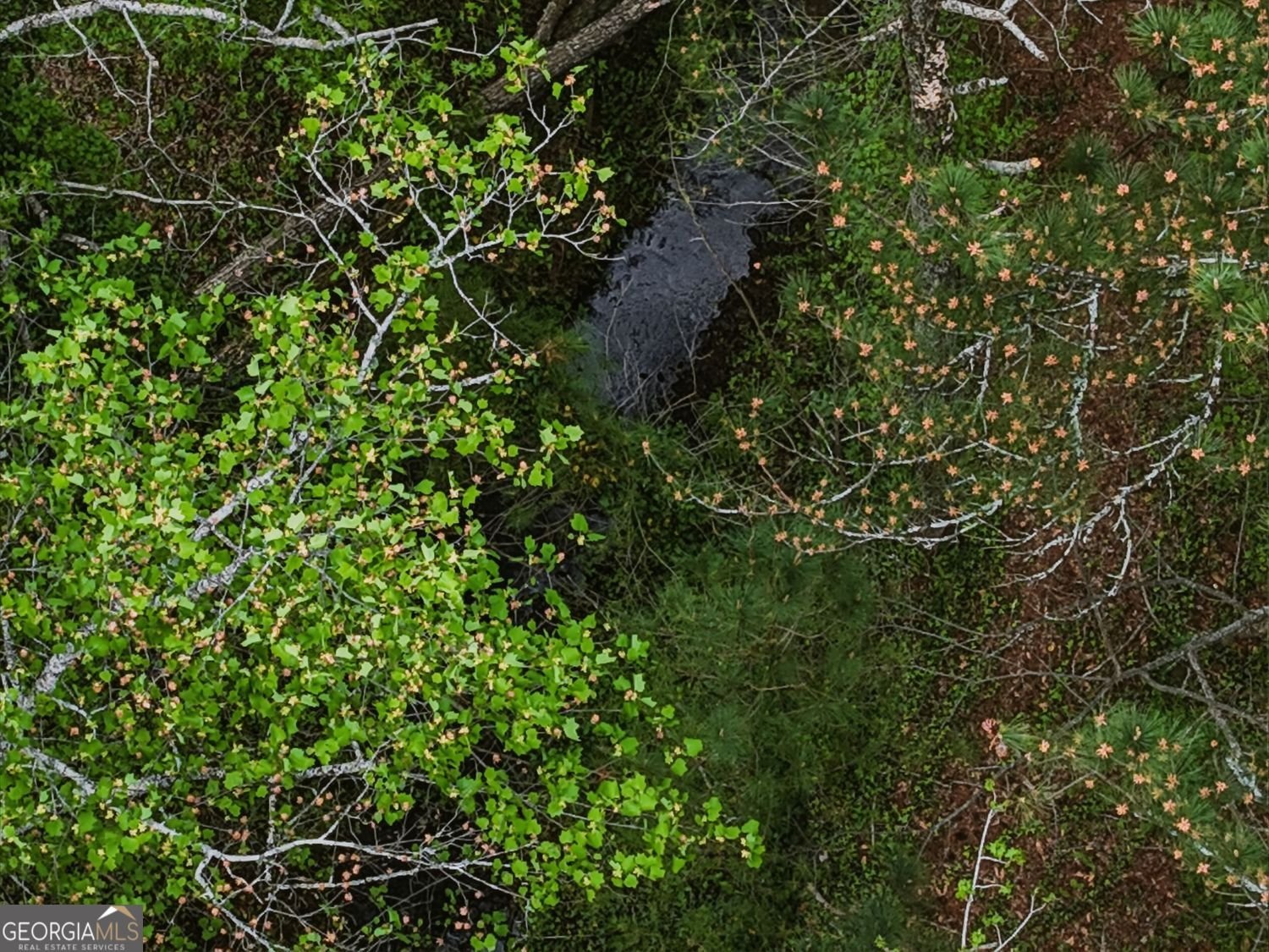 2067 Fairport Way Marietta - Photo 48