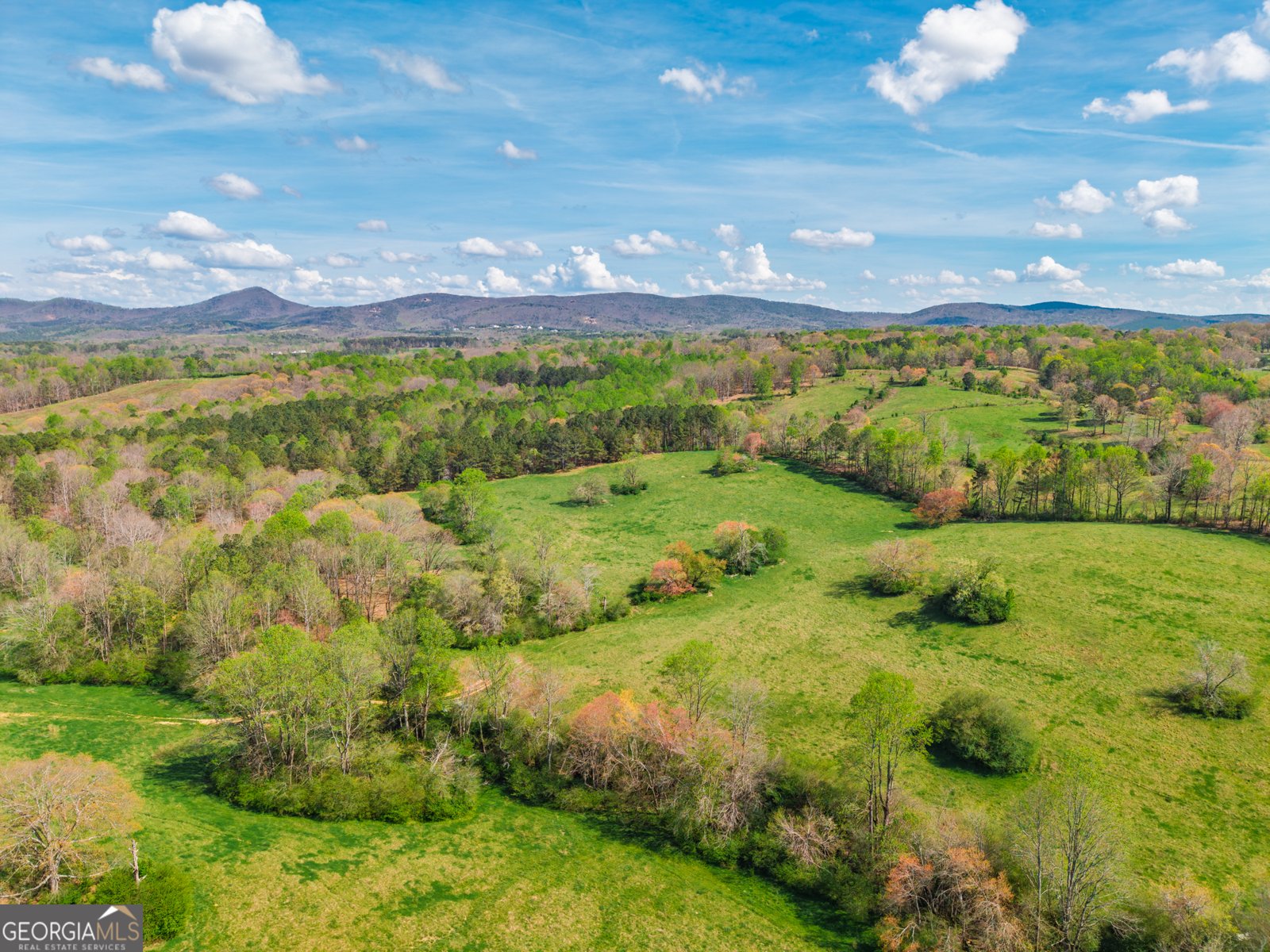 2490 Jerusalem Church Road Jasper - Photo 37