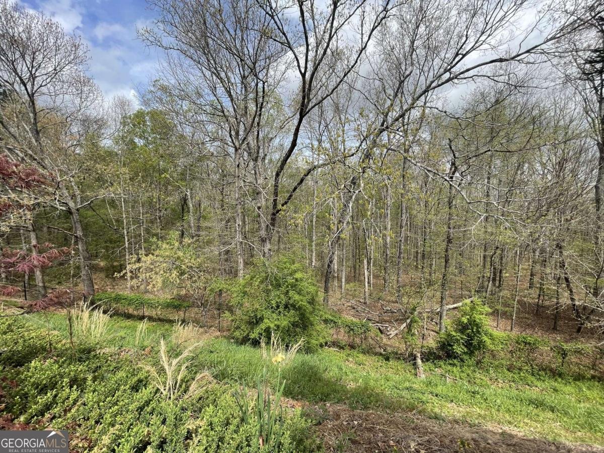 5910 Stellata Circle Cumming - Photo 15