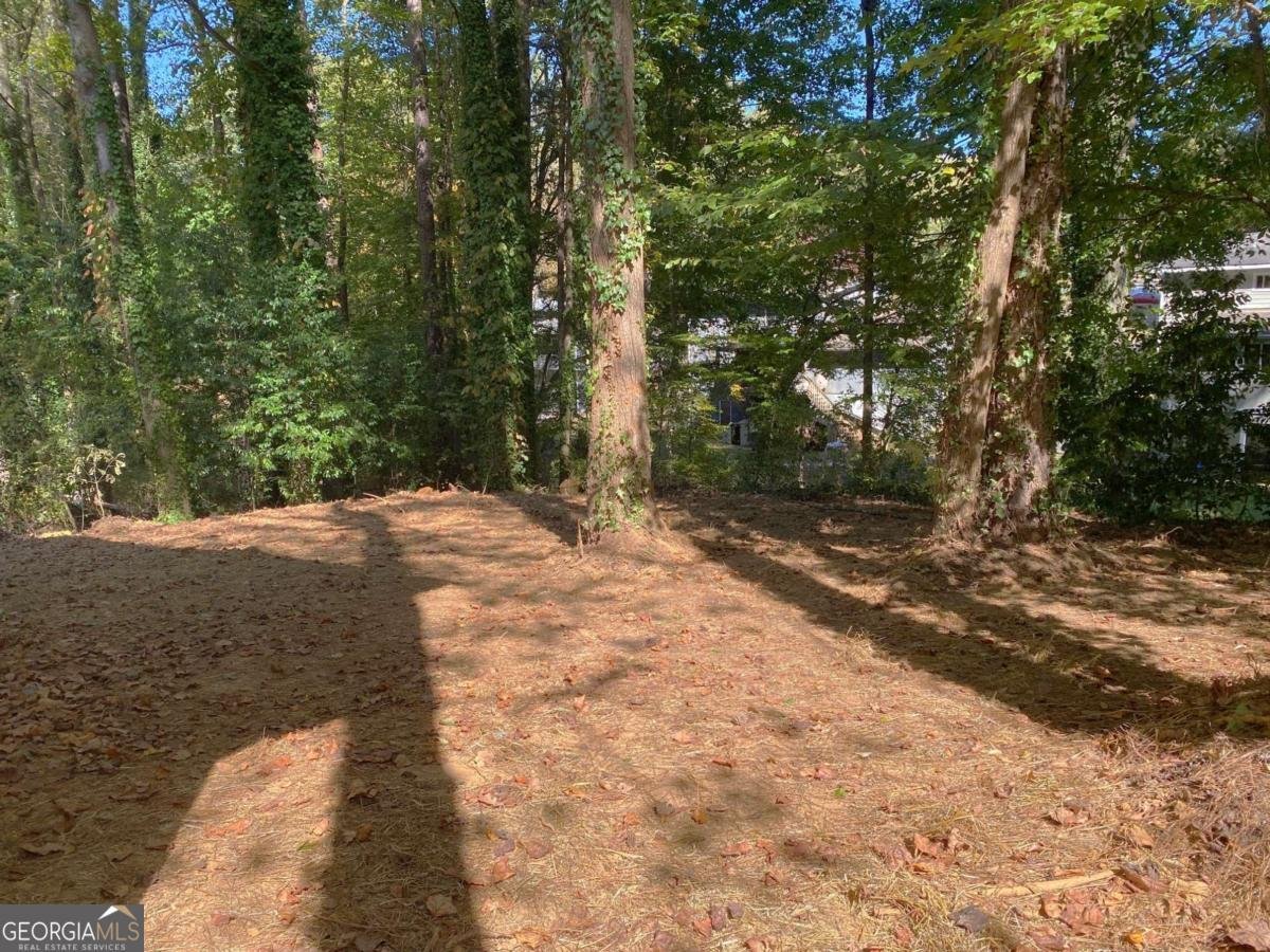 1413 Silver Lake Drive Norcross - Photo 65