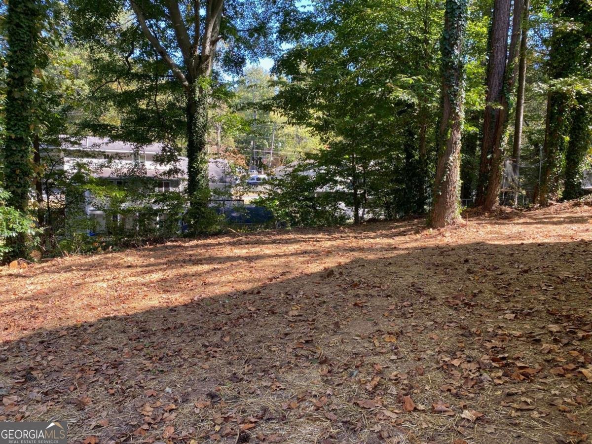 1413 Silver Lake Drive Norcross - Photo 66