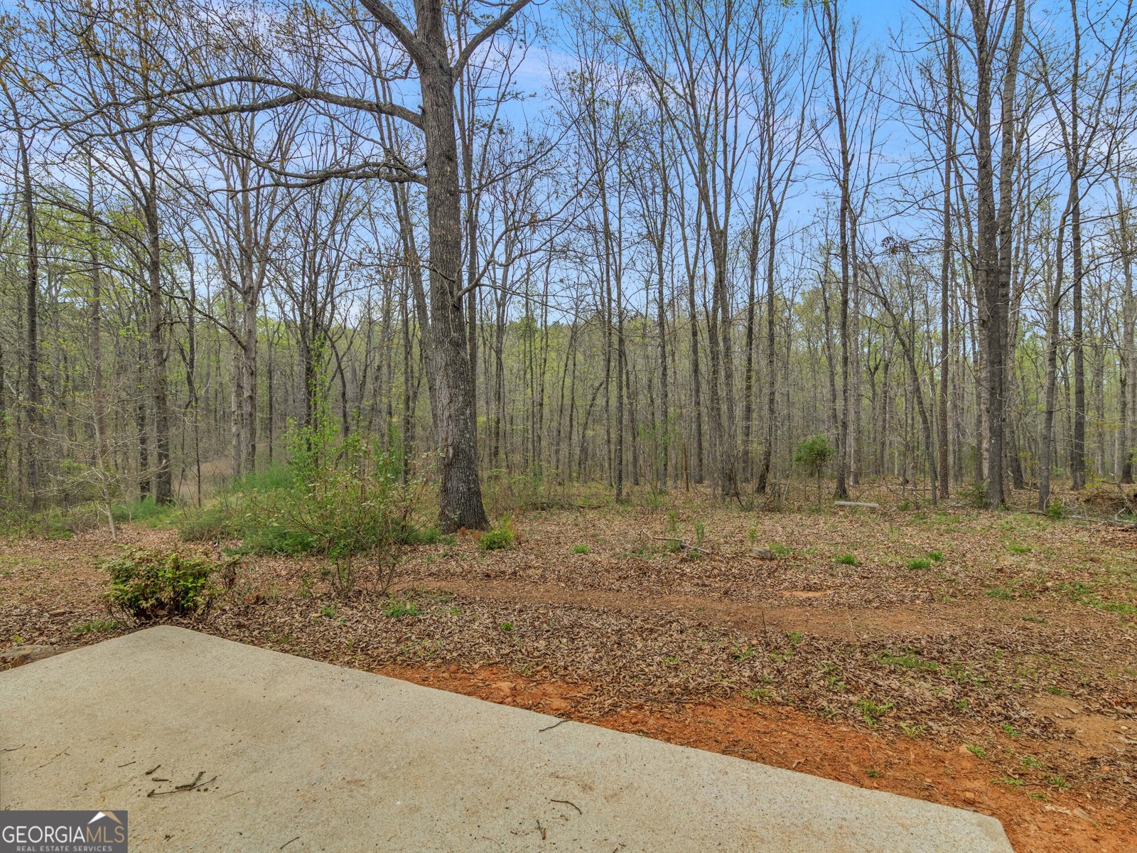 141 Royal Way McDonough - Photo 29