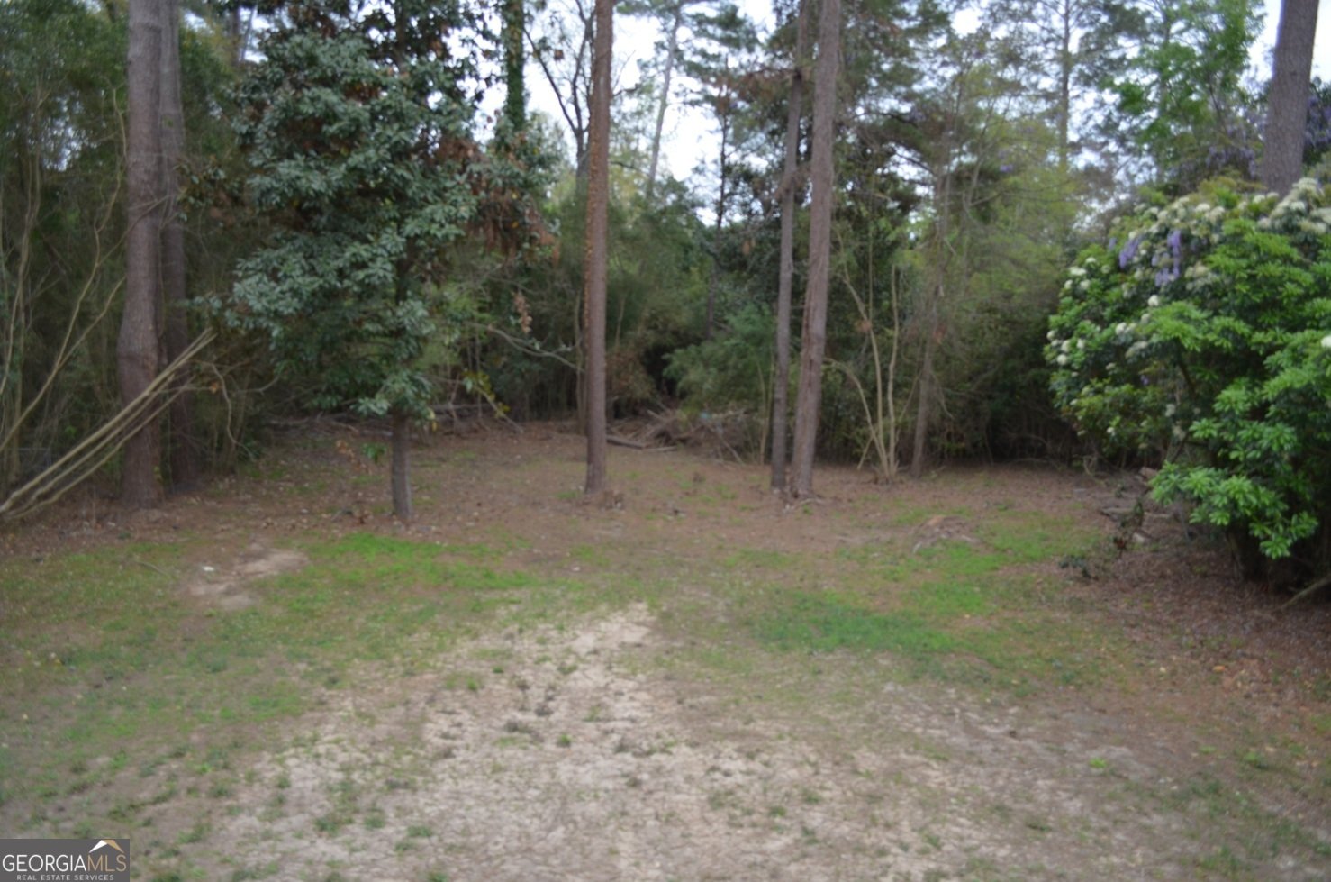 829 Edward Place Macon - Photo 16