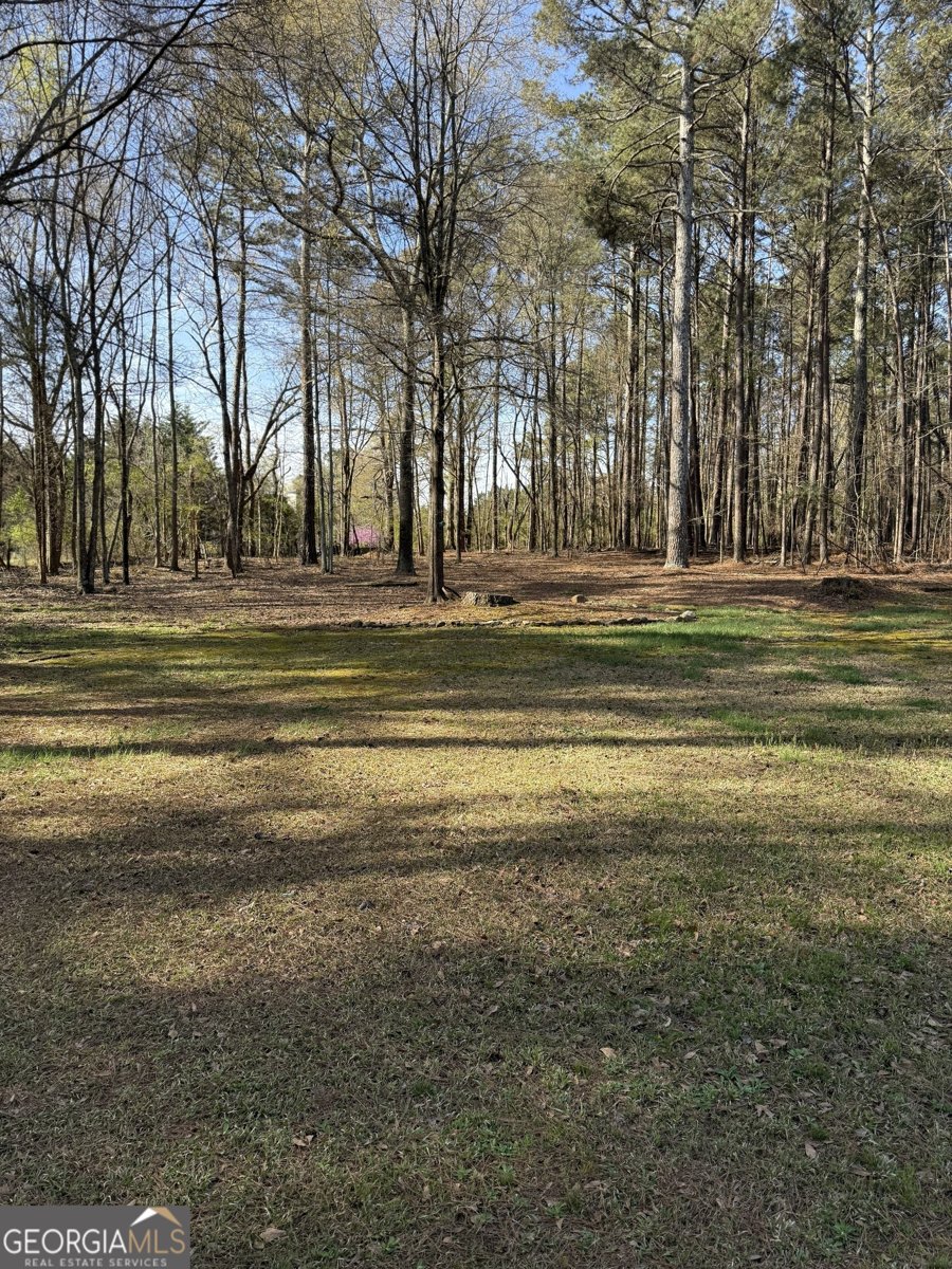 1030 Oconee Crossing Circle Bogart - Photo 32