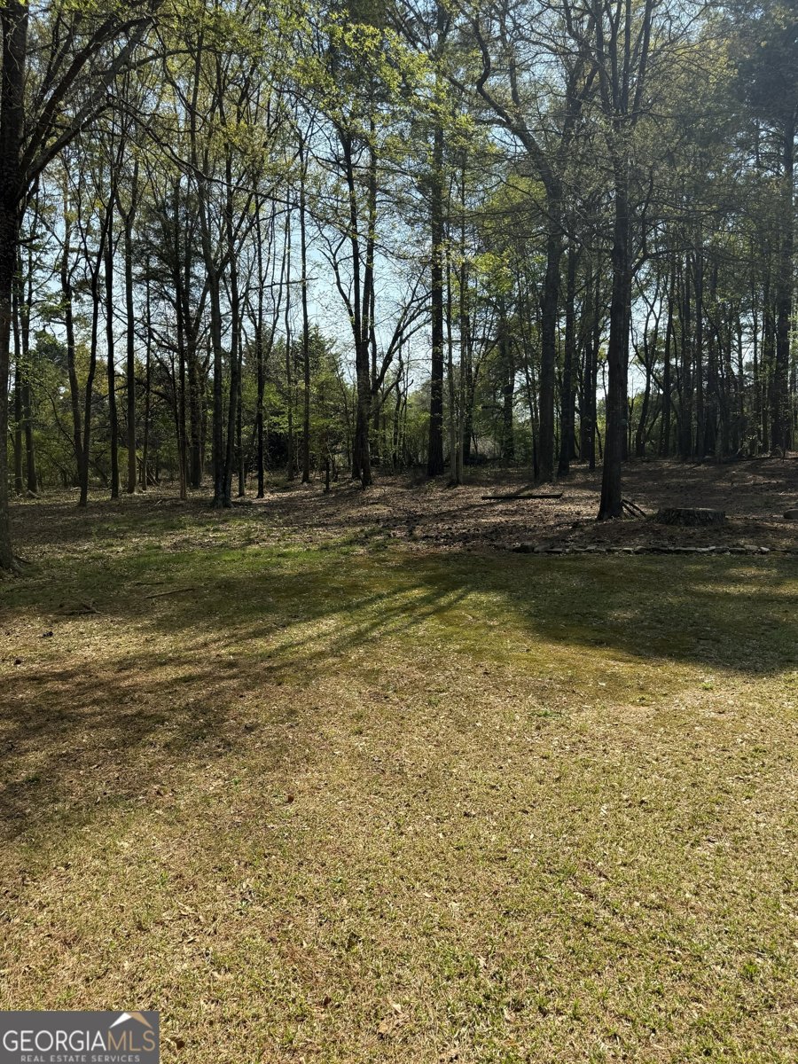 1030 Oconee Crossing Circle Bogart - Photo 33