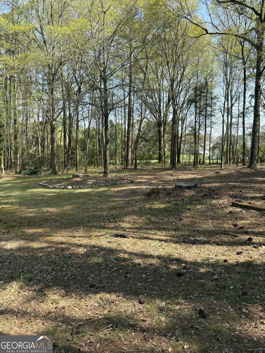 1030 Oconee Crossing Circle Bogart - Photo 34