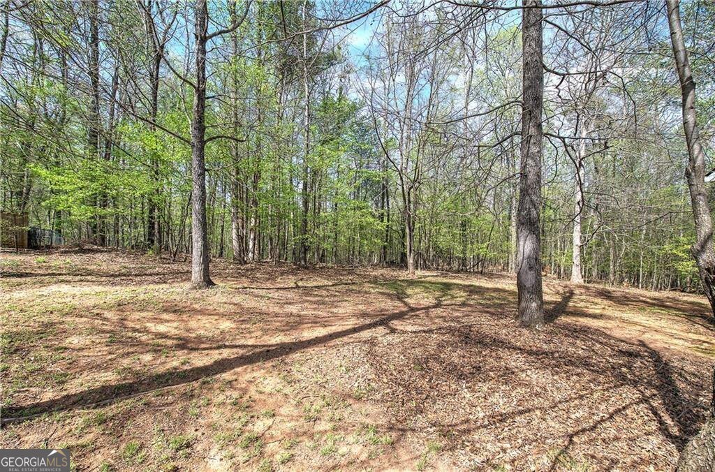 10 Carriage Lane Cartersville - Photo 7