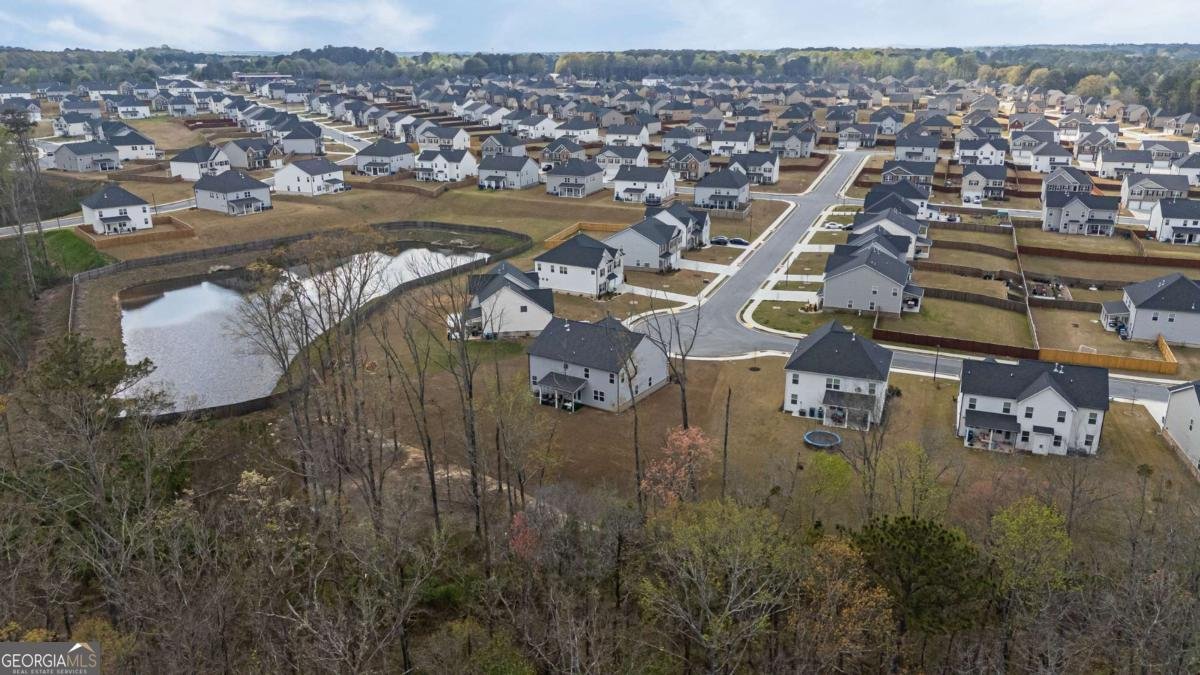 379 Blue Juniper Circle Loganville - Photo 29