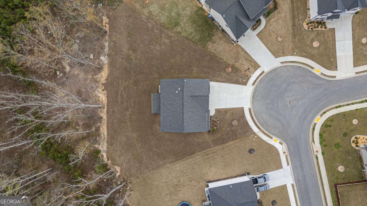 379 Blue Juniper Circle Loganville - Photo 30