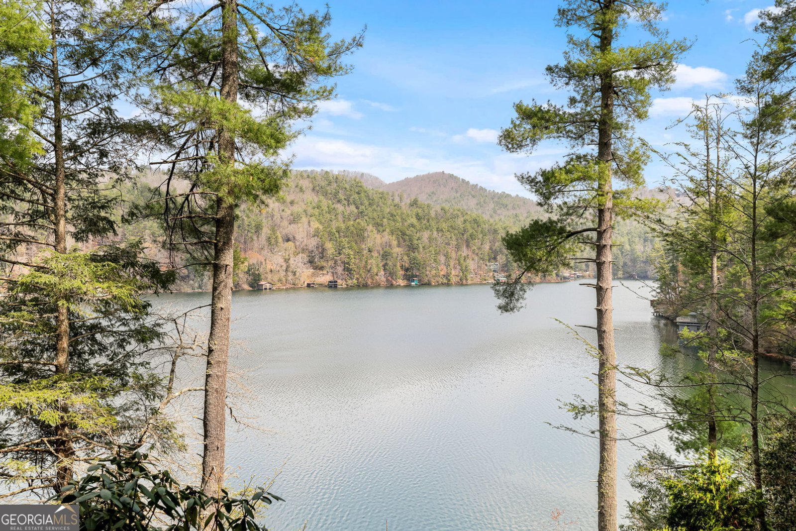 3914 Brandon Mill Road Lakemont - Photo 21