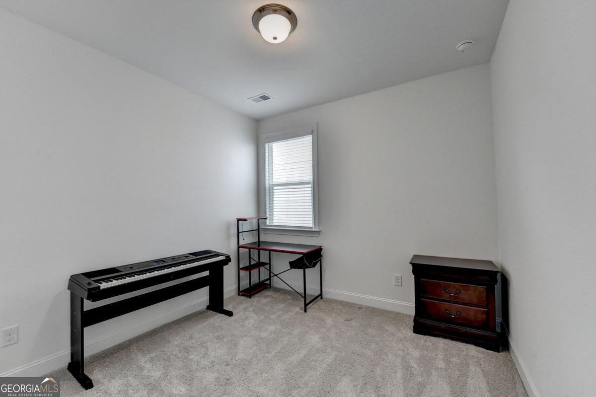 2852 Girard Lane Duluth - Photo 44