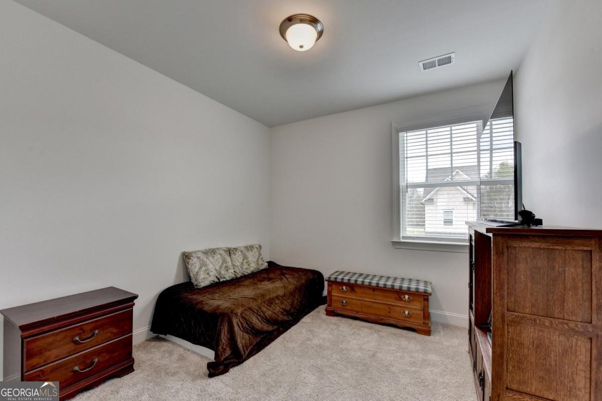 2852 Girard Lane Duluth - Photo 59