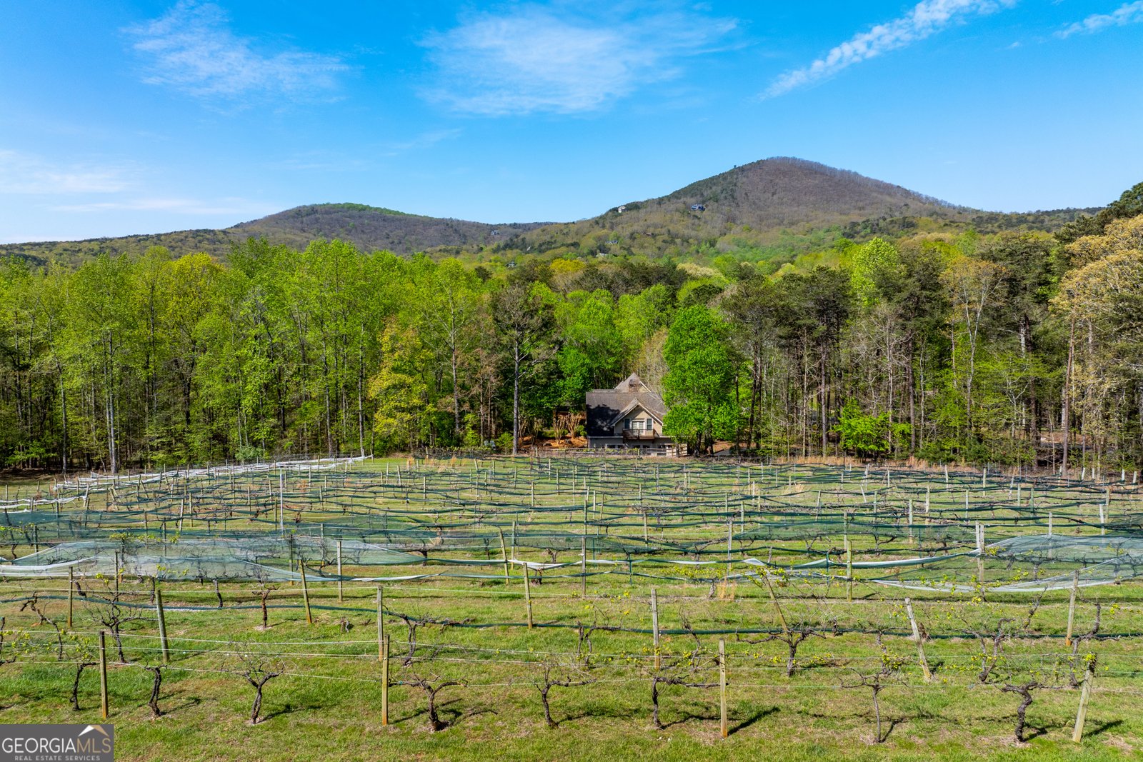 464 Stonehaven Court Jasper - Photo 53