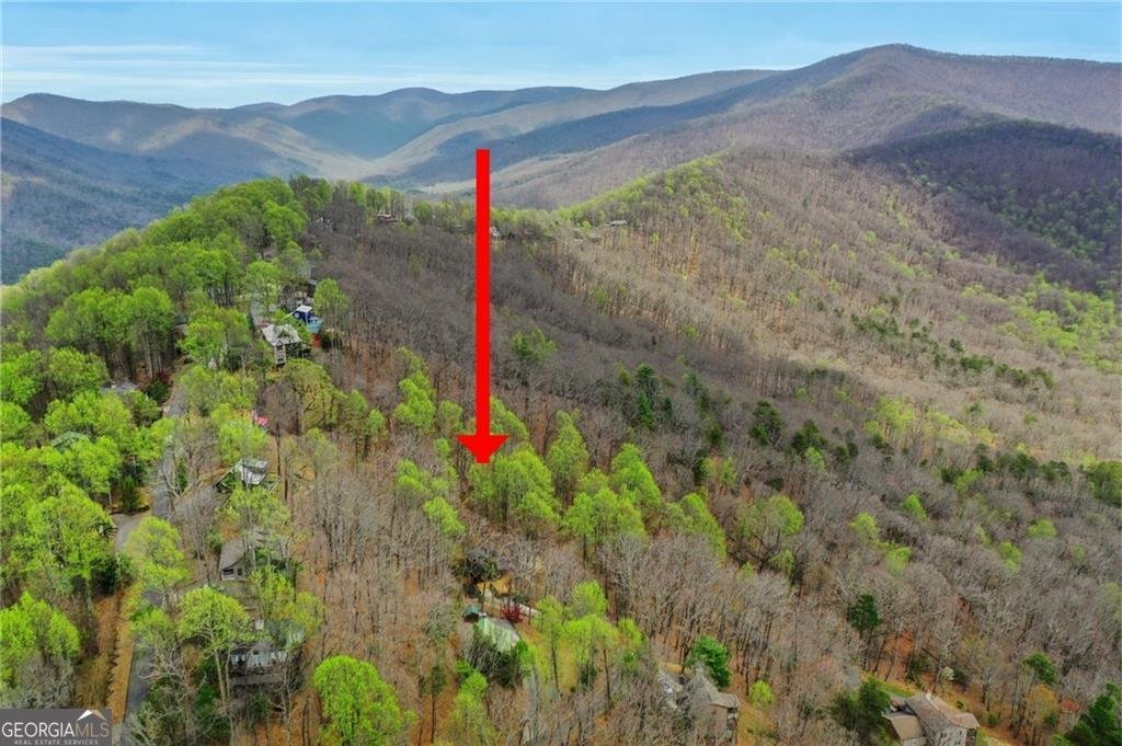 125 Owltown Drive Ellijay - Photo 53