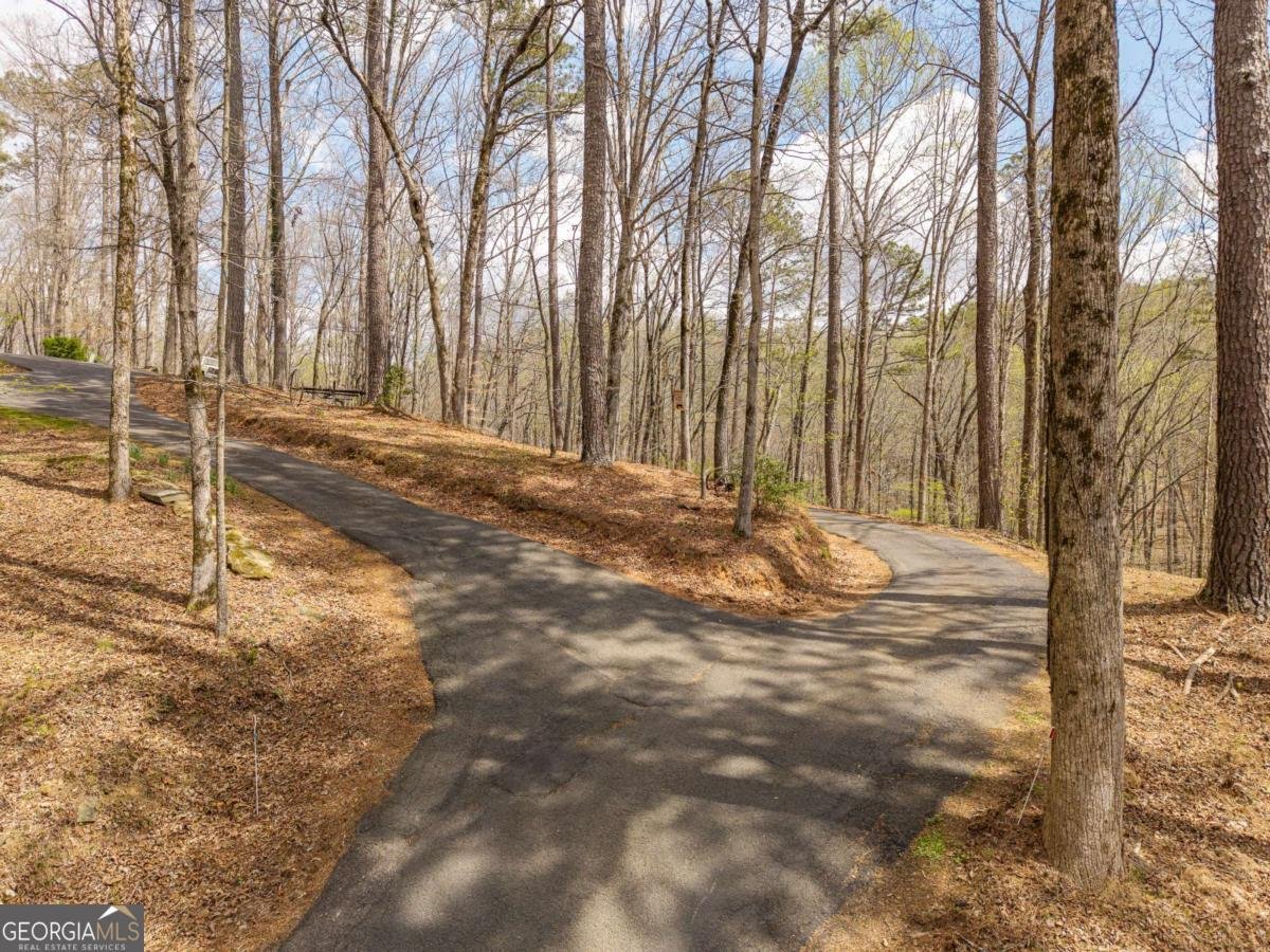 134 Nicholson Lane Talking Rock - Photo 65