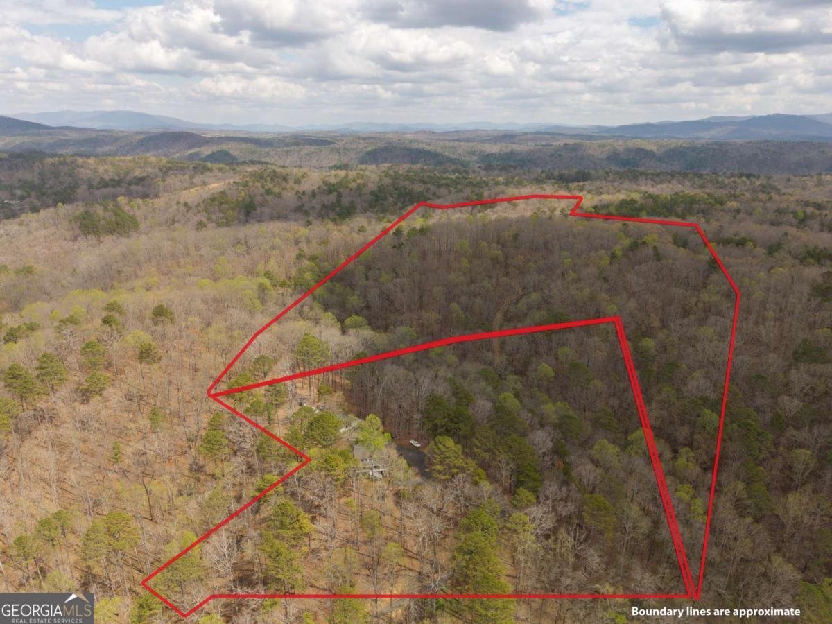 134 Nicholson Lane Talking Rock - Photo 68