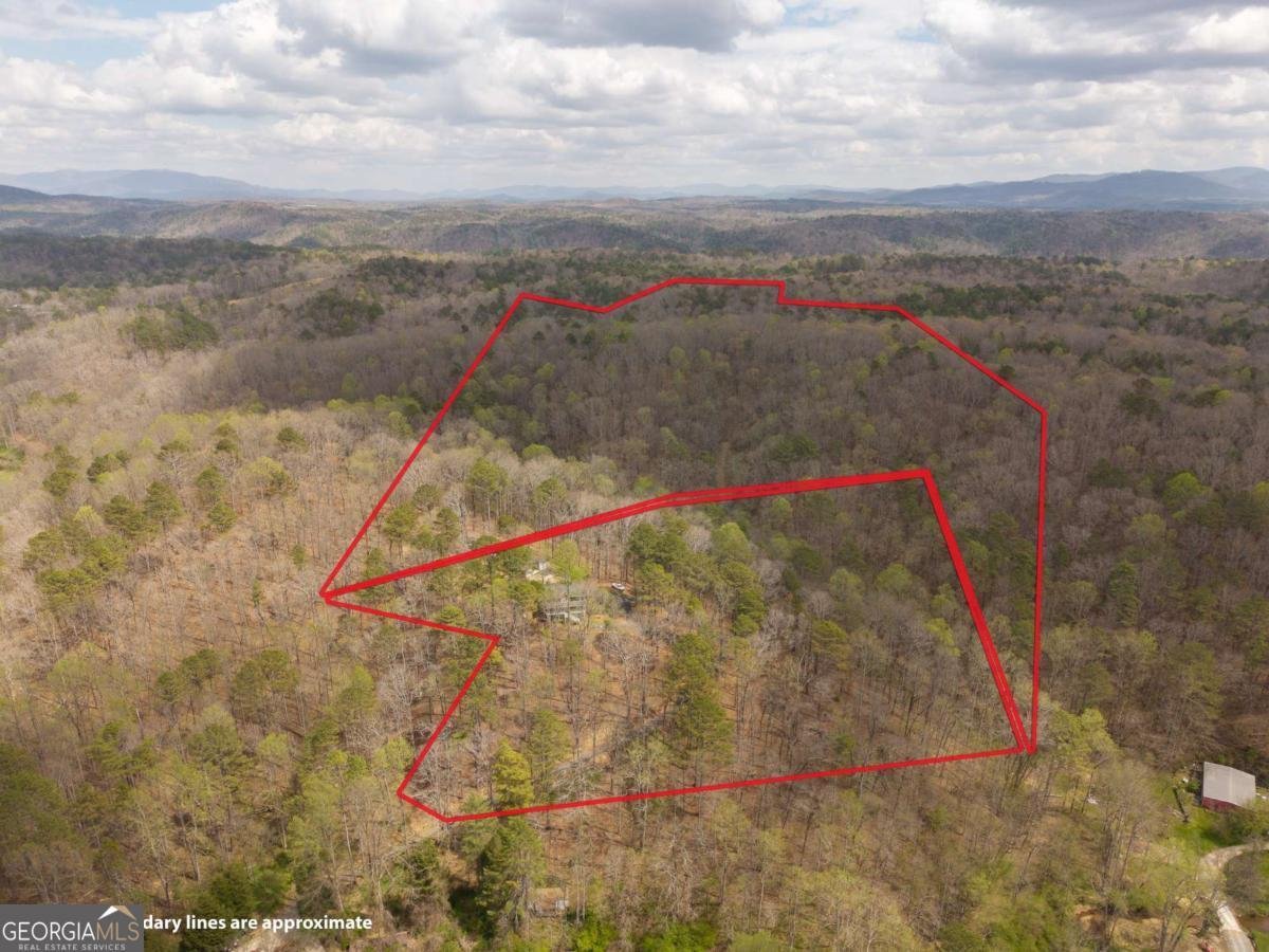 134 Nicholson Lane Talking Rock - Photo 69