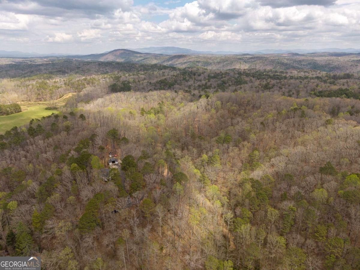 134 Nicholson Lane Talking Rock - Photo 70