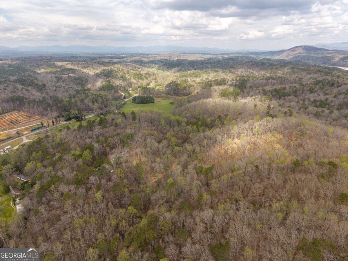 134 Nicholson Lane Talking Rock - Photo 71