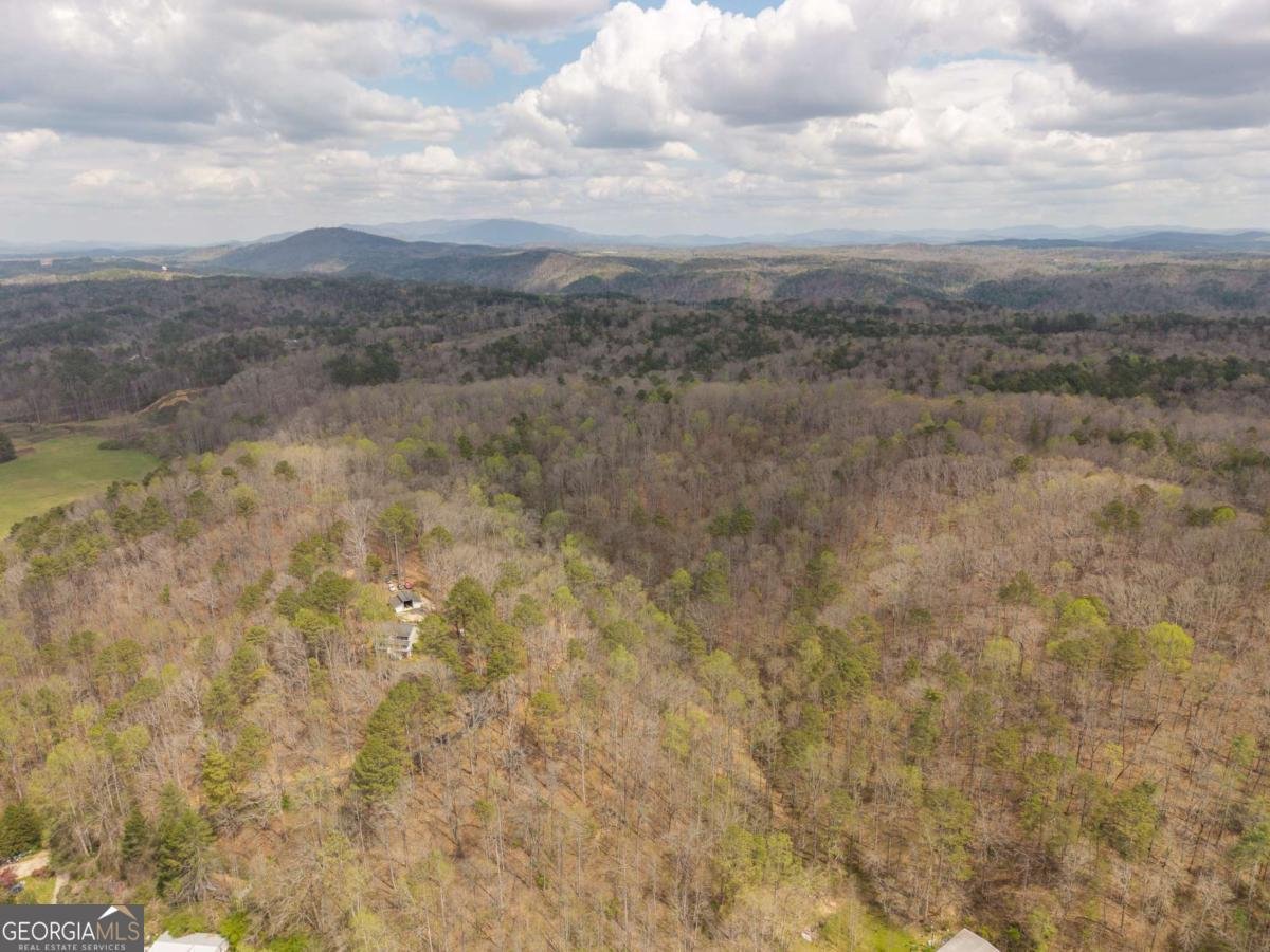 134 Nicholson Lane Talking Rock - Photo 72