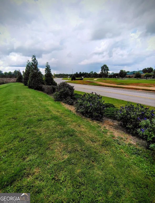 308 Jade Laurel Court Locust Grove - Photo 18