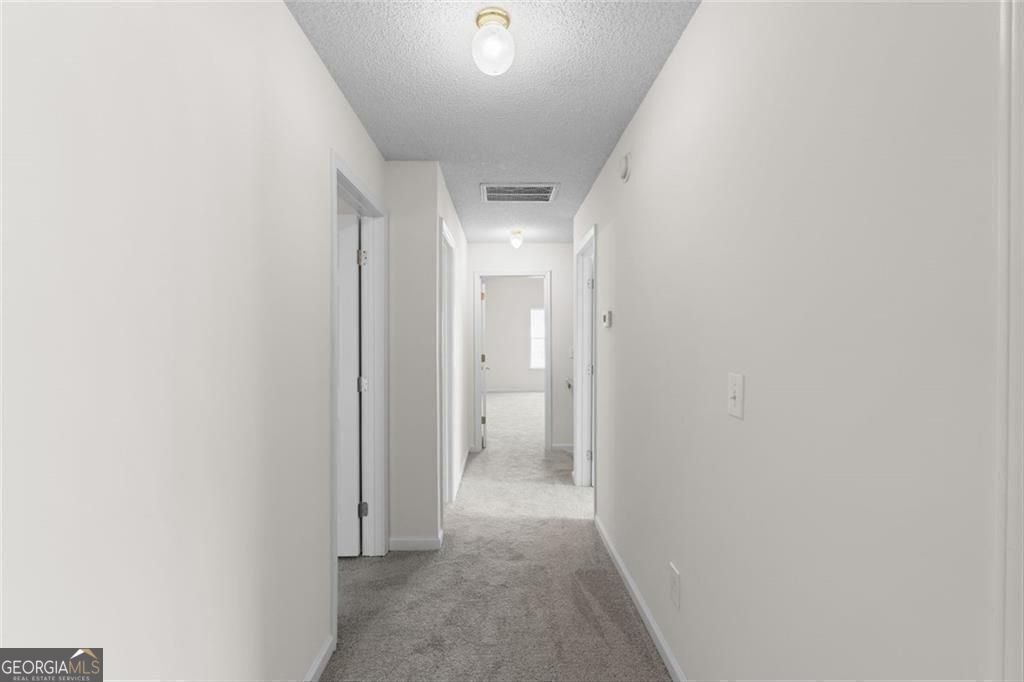 1727 Spring Hill Cove Lithonia - Photo 48