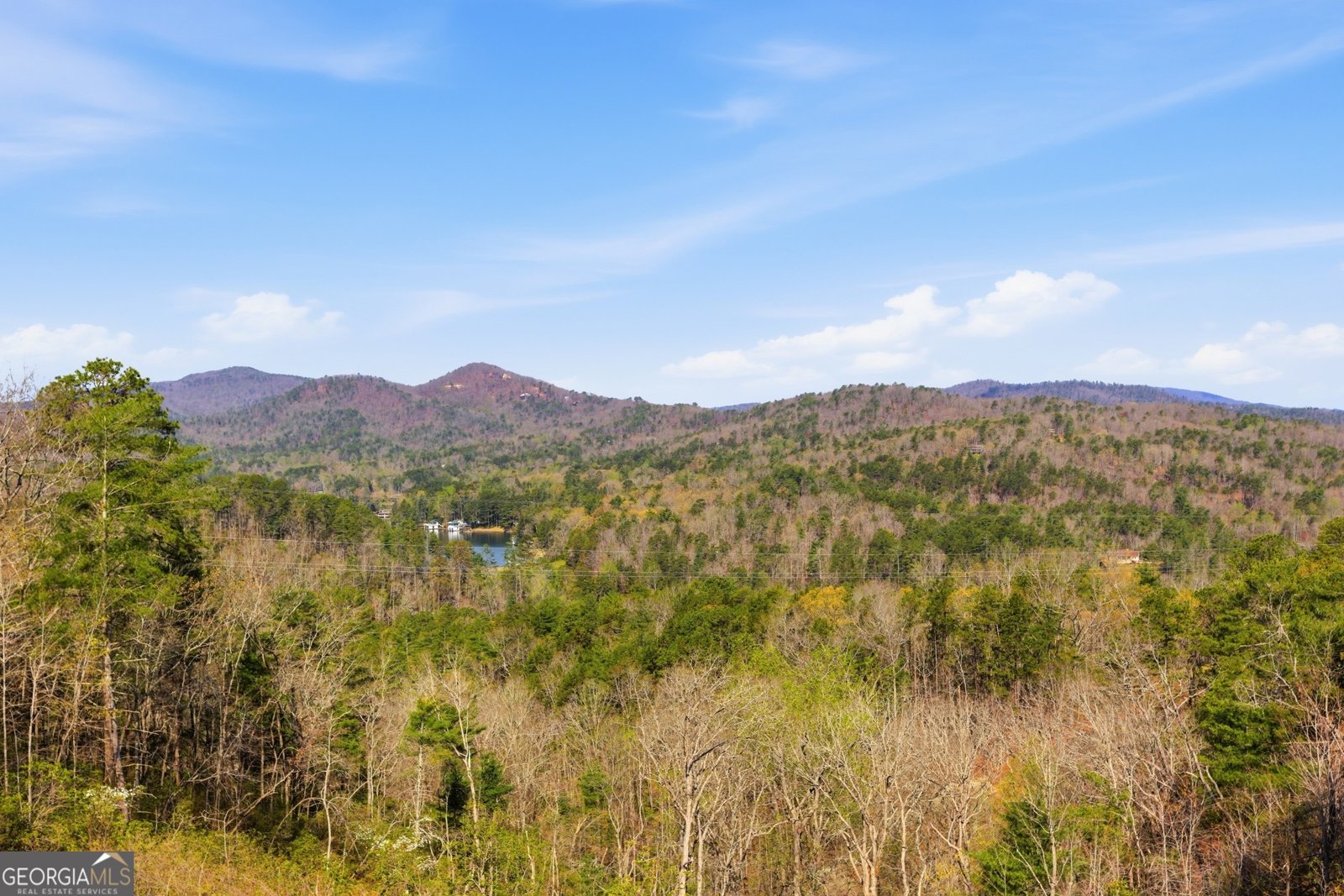 154 Brenary Drive Lakemont - Photo 48