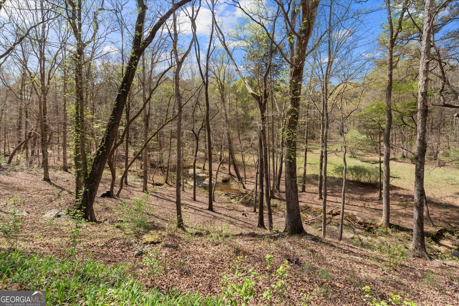 3880 Fern Springs Lane Douglasville - Photo 52