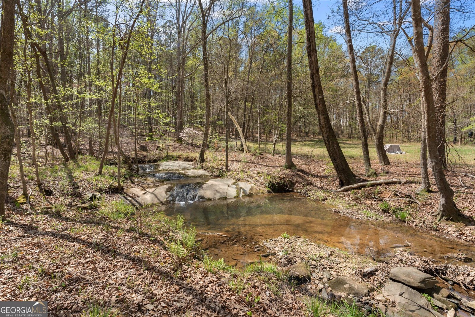 3880 Fern Springs Lane Douglasville - Photo 55