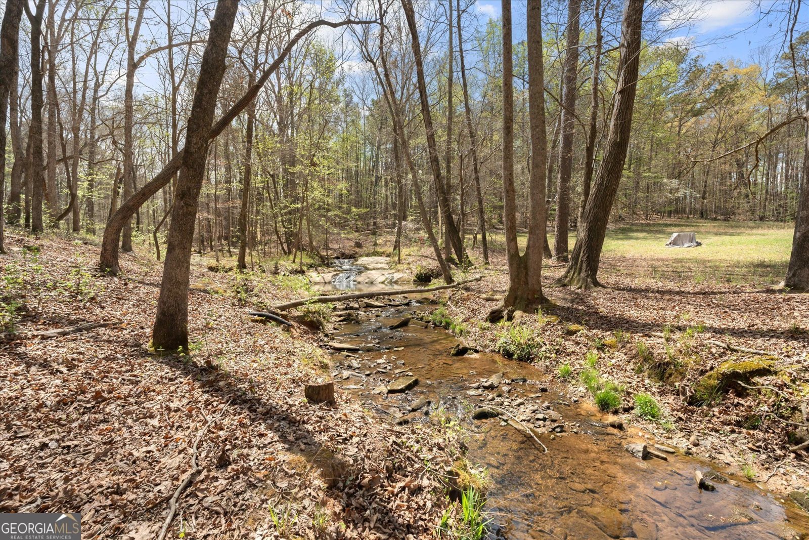 3880 Fern Springs Lane Douglasville - Photo 56