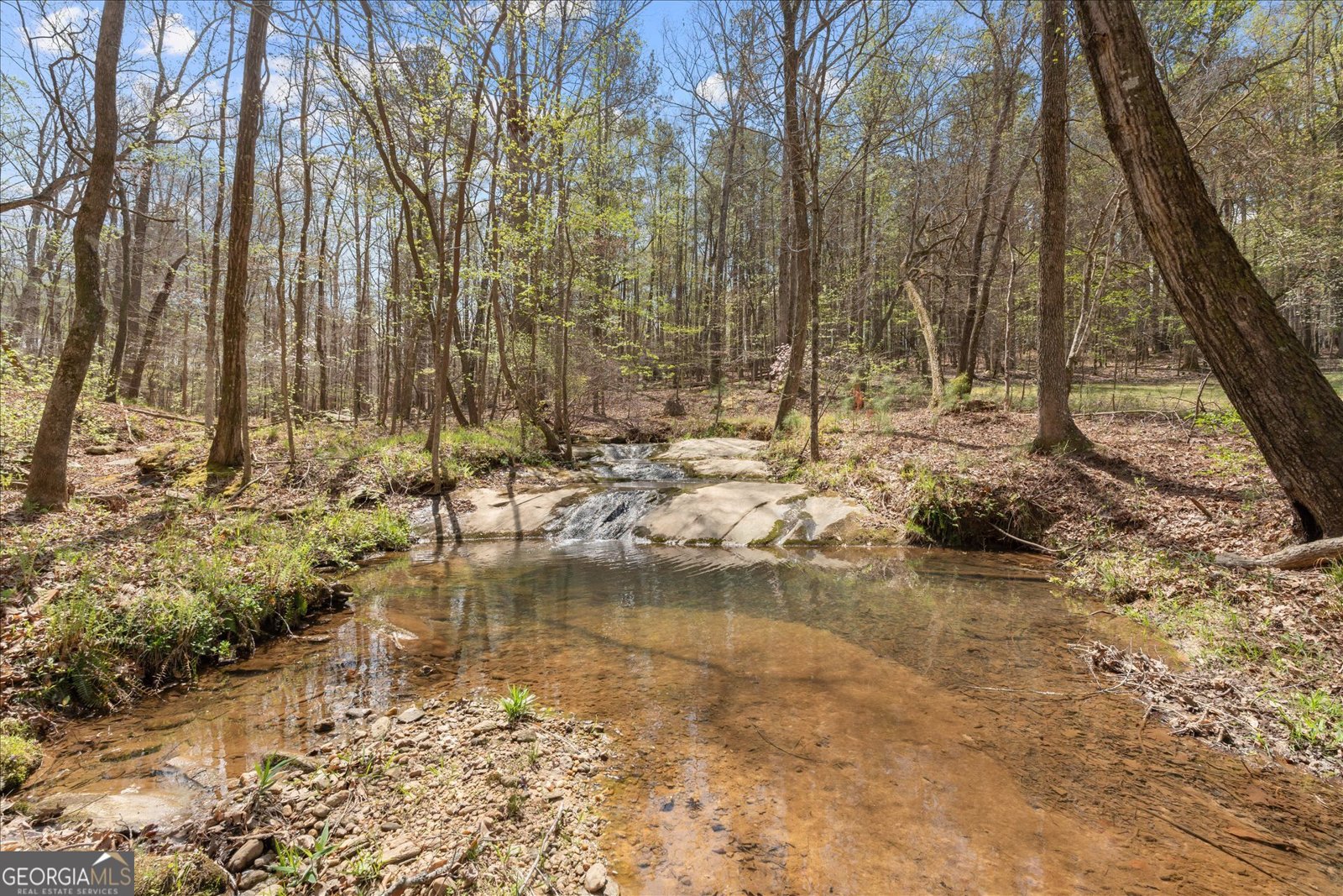 3880 Fern Springs Lane Douglasville - Photo 57