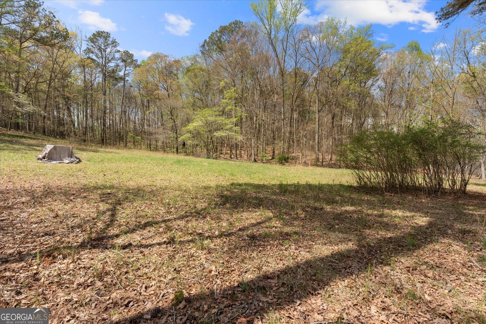 3880 Fern Springs Lane Douglasville - Photo 58