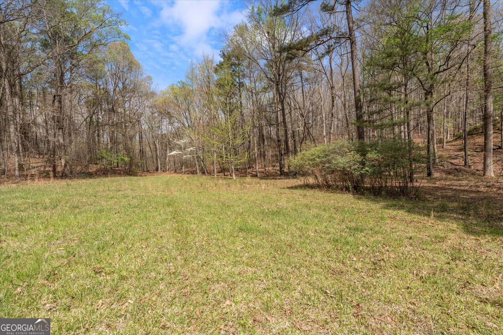 3880 Fern Springs Lane Douglasville - Photo 59