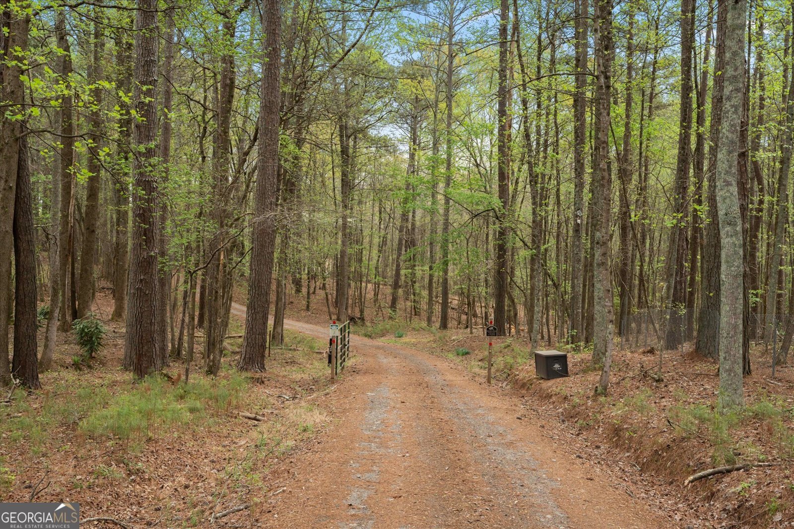 3880 Fern Springs Lane Douglasville - Photo 62