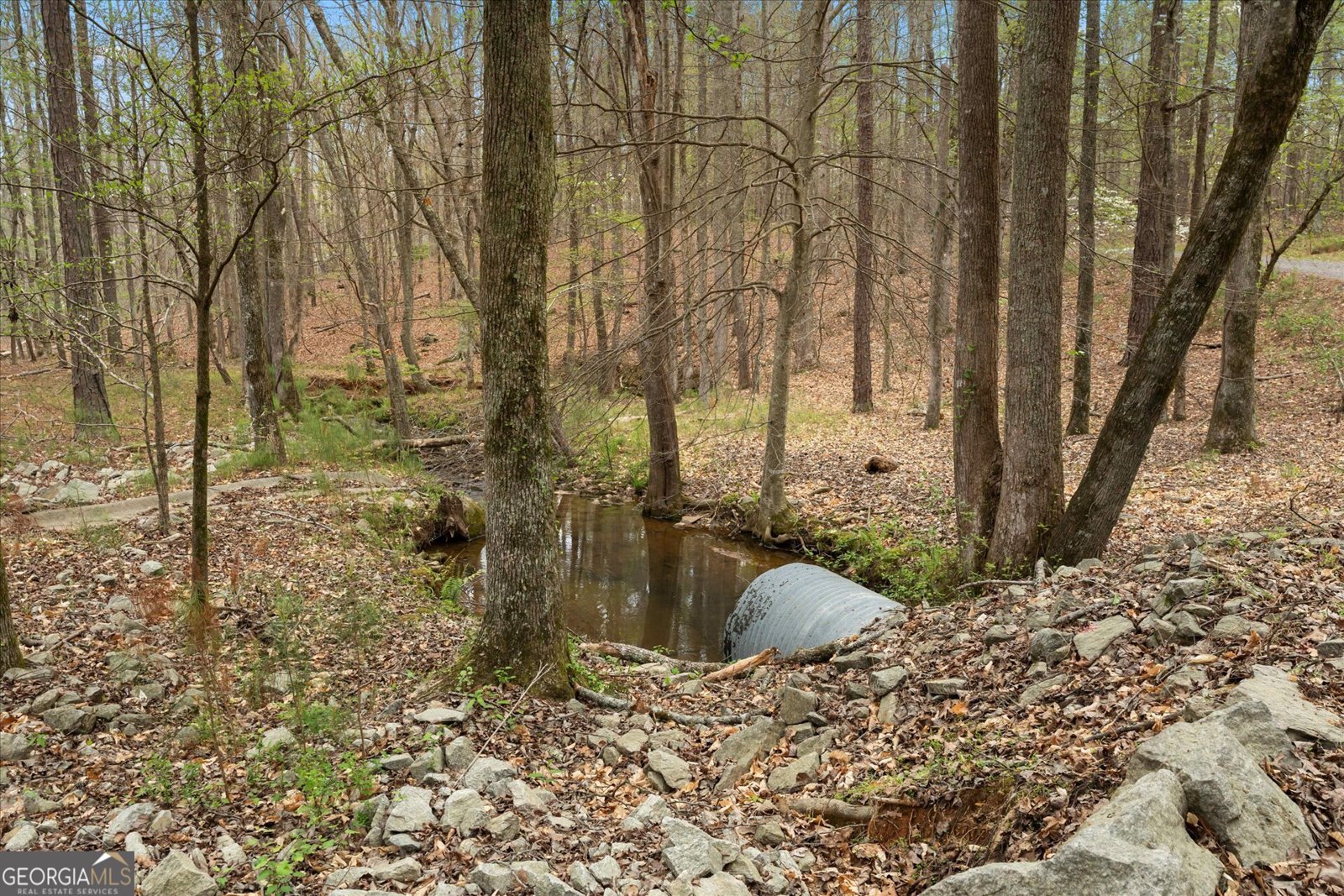 3880 Fern Springs Lane Douglasville - Photo 64