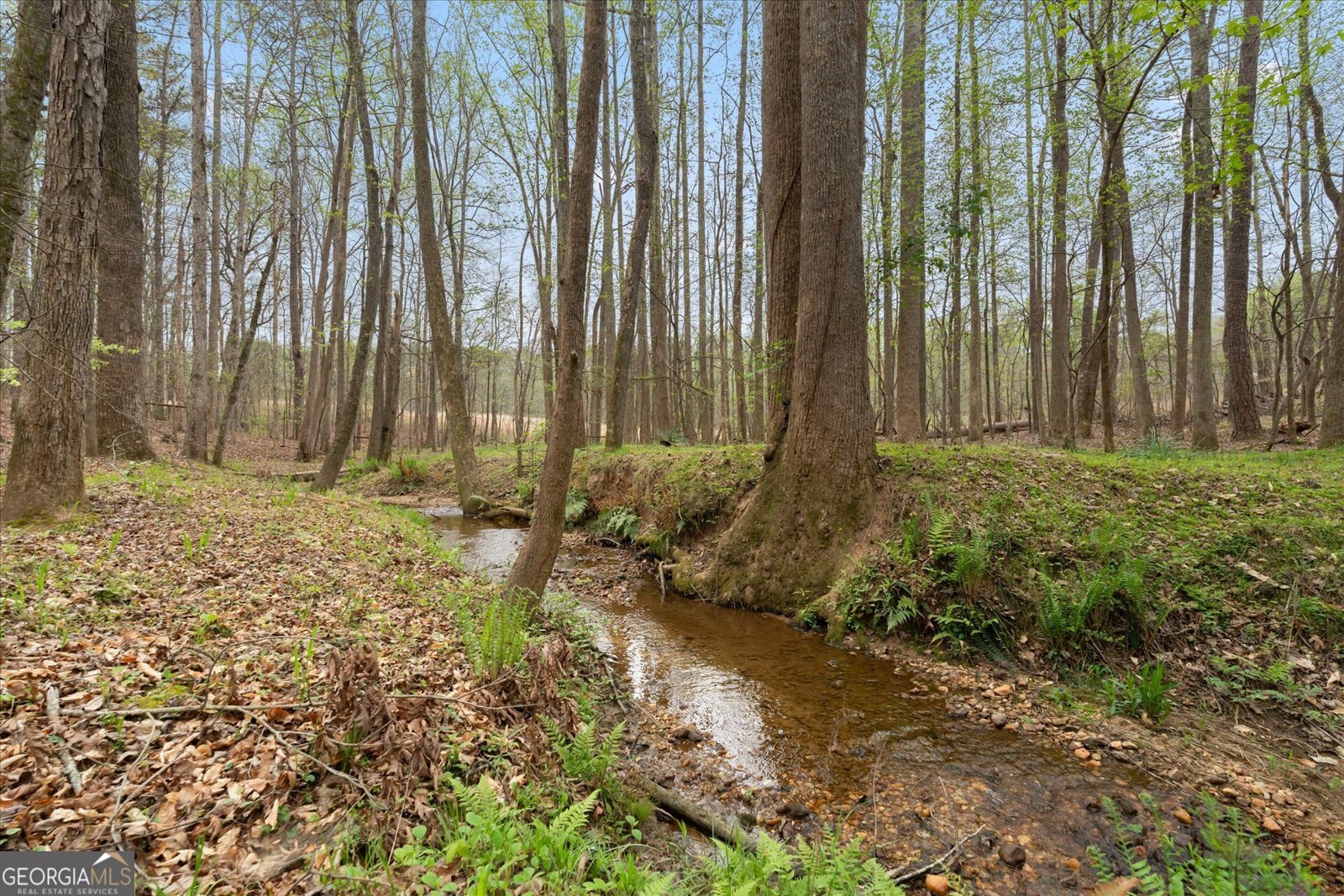 3880 Fern Springs Lane Douglasville - Photo 65