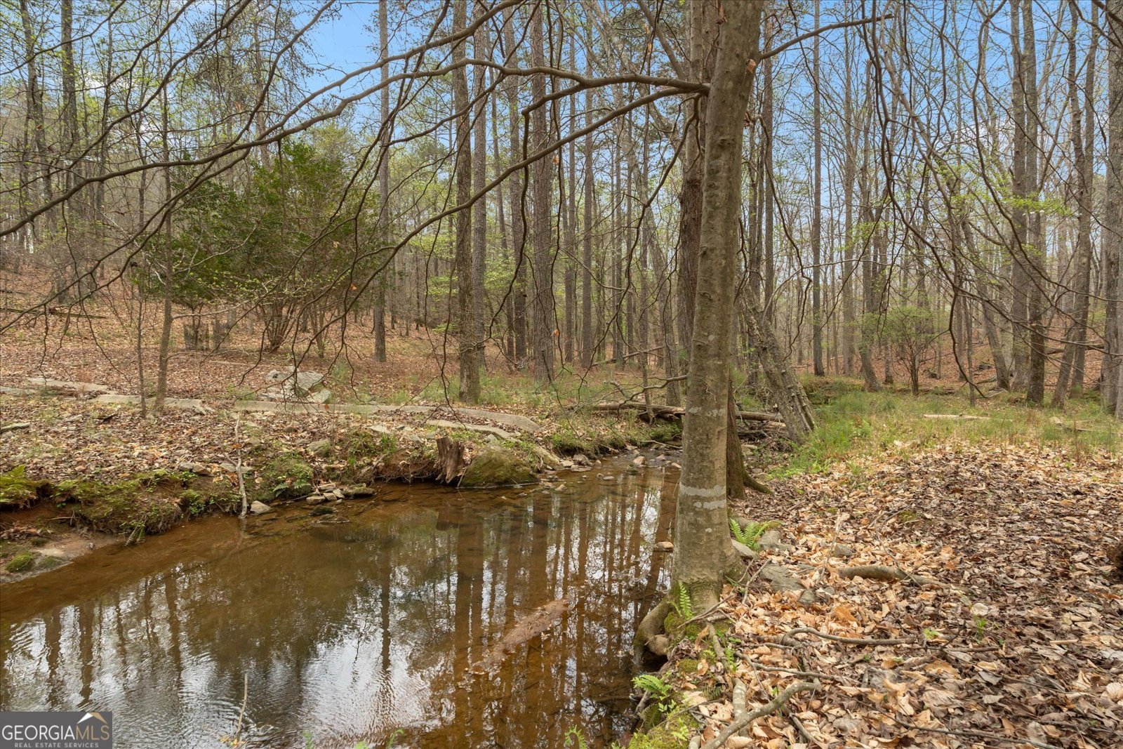 3880 Fern Springs Lane Douglasville - Photo 66