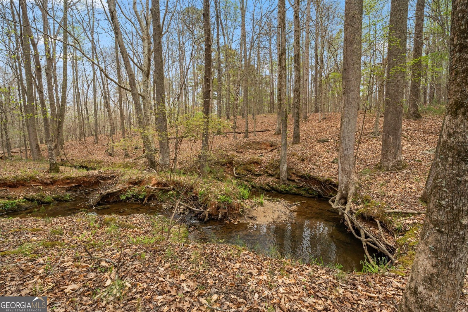 3880 Fern Springs Lane Douglasville - Photo 67