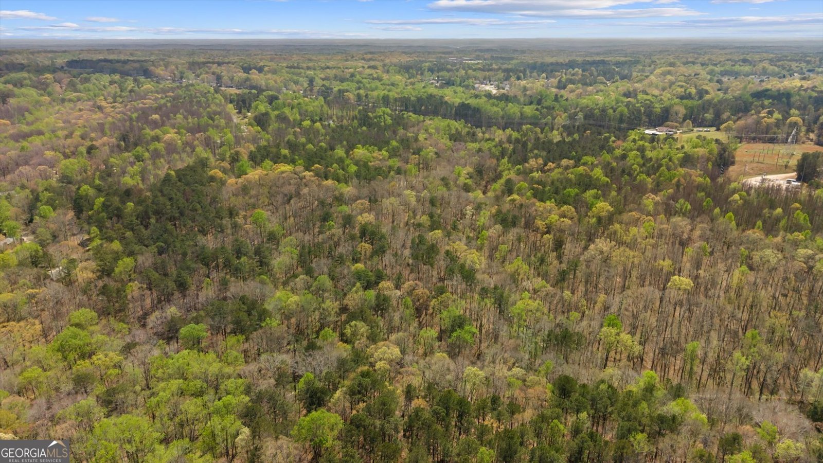 3880 Fern Springs Lane Douglasville - Photo 75