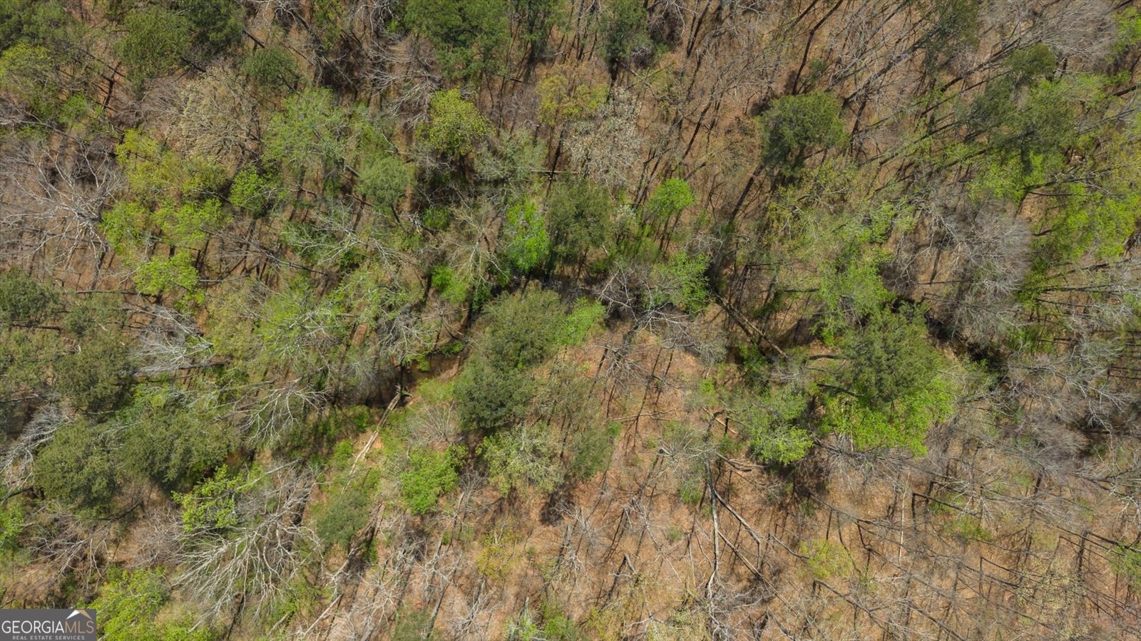 3880 Fern Springs Lane Douglasville - Photo 76