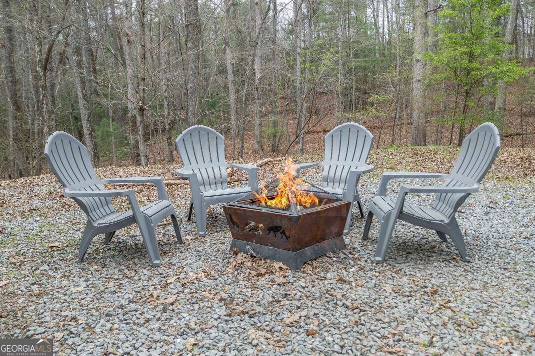 145 Fox Run Lane Blue Ridge - Photo 49