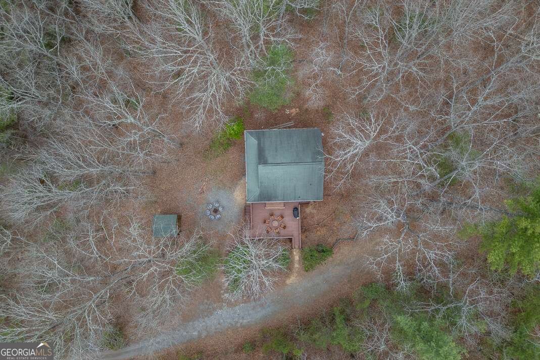 145 Fox Run Lane Blue Ridge - Photo 52