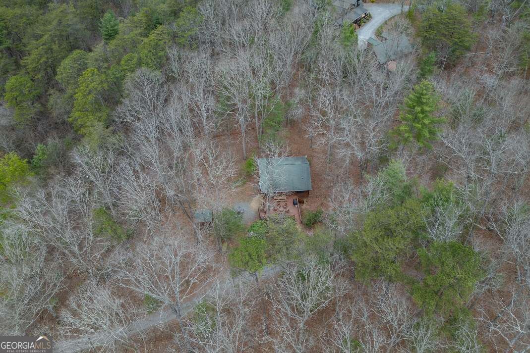 145 Fox Run Lane Blue Ridge - Photo 53