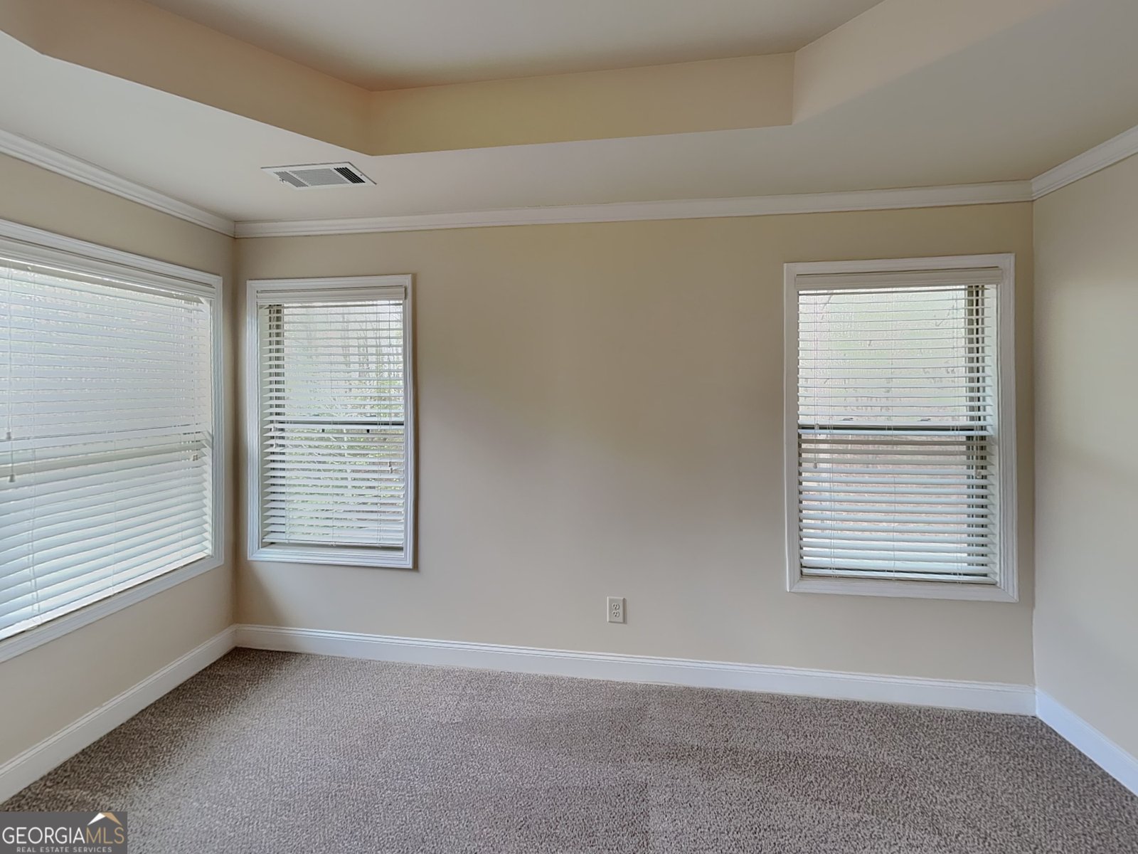 453 Cherry Creek Drive Loganville - Photo 11